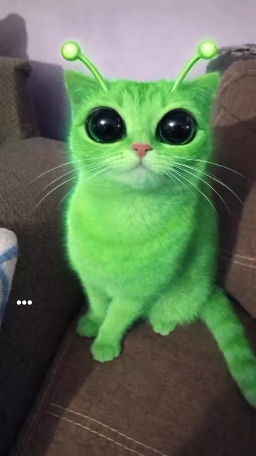 @Rosaaaaaa