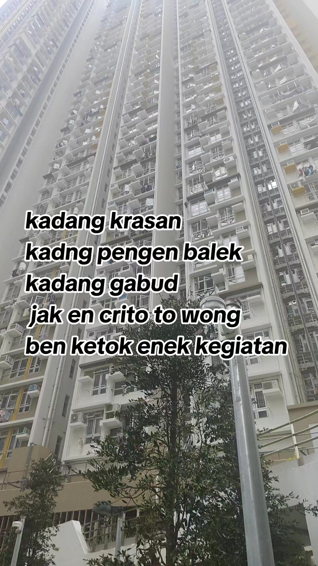@🅝🅘🅝🅖🅡🅐🅣🅐🅛🅐🅜
