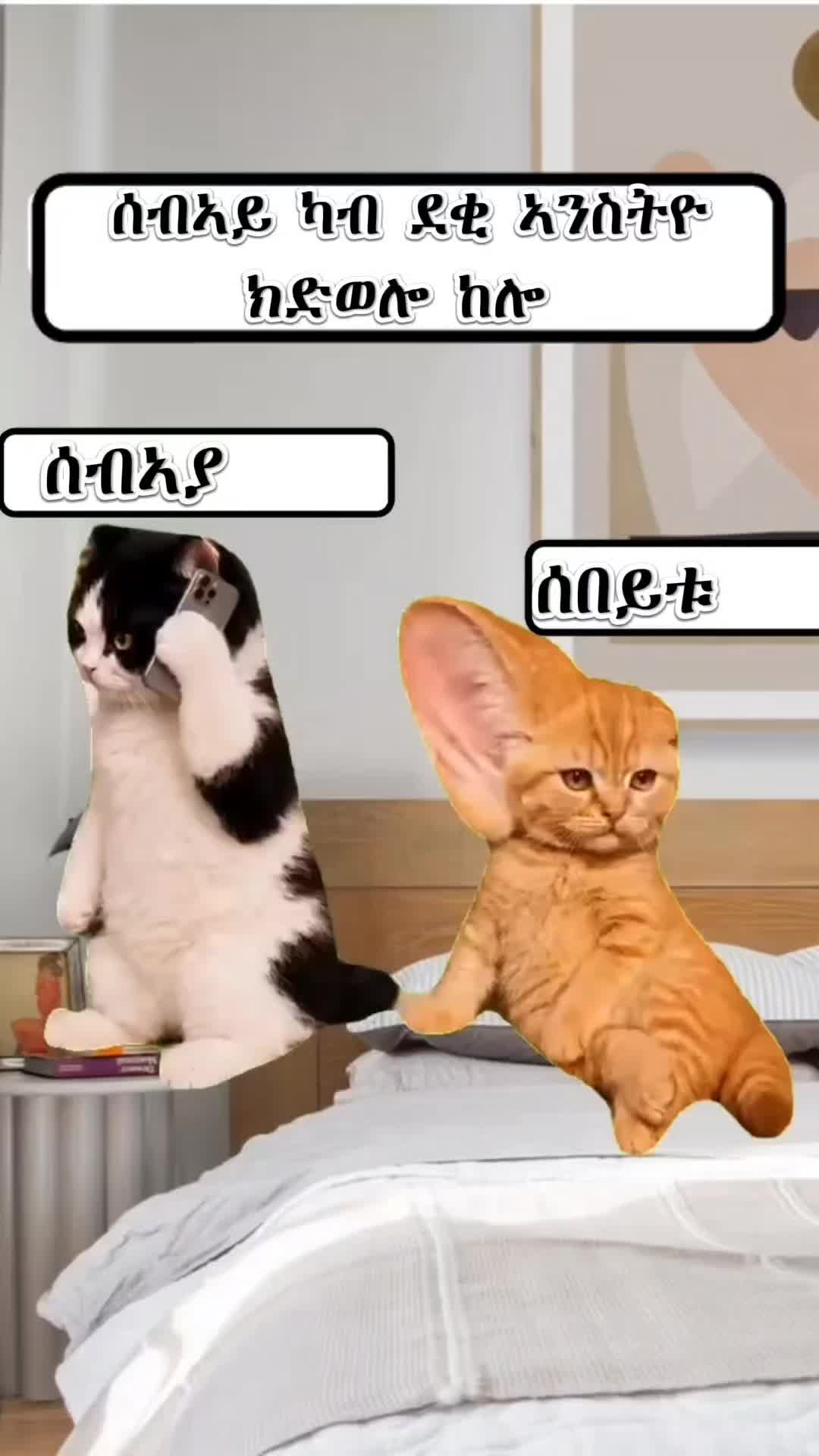 @๐
ฟ๐
ด๐
ฐ๐
ฒ๐
ด๐ช๐ทโค๏ธ๐ตโ๏ธ๐ง๐ผ