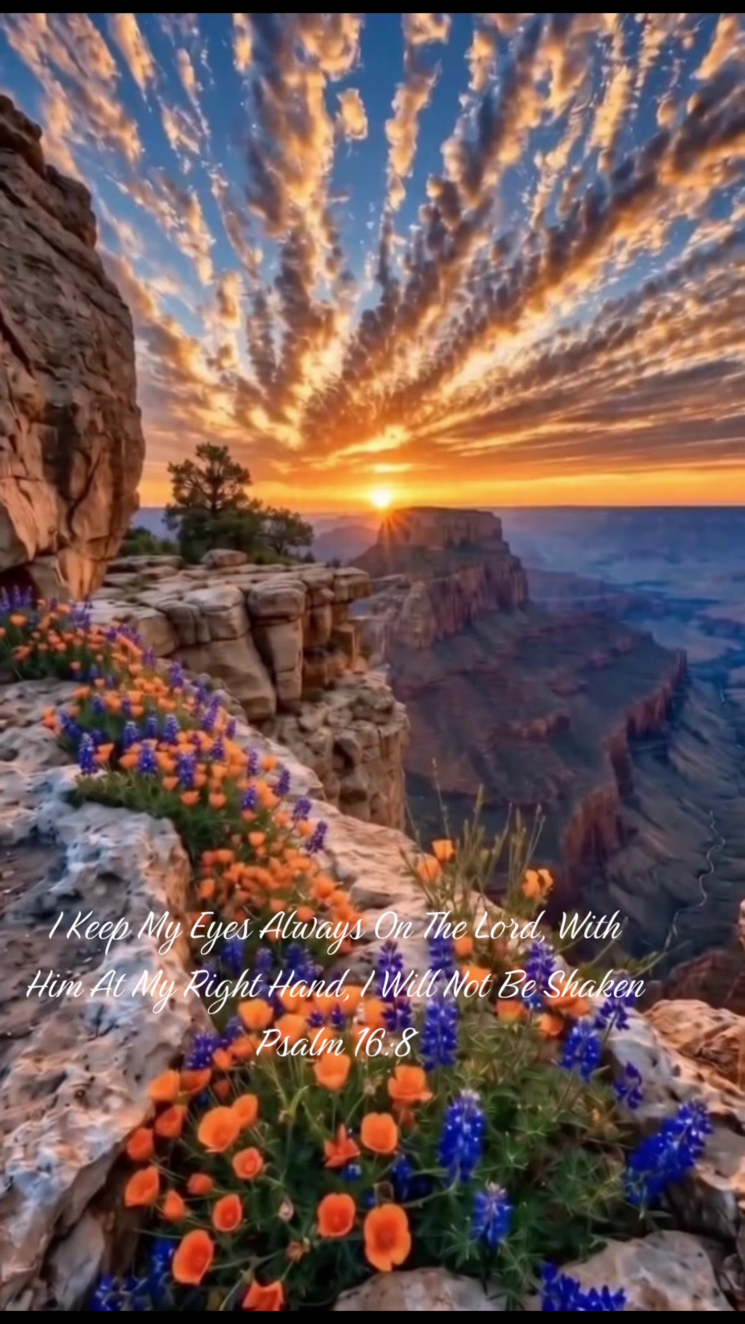 @g3ntl3groov311