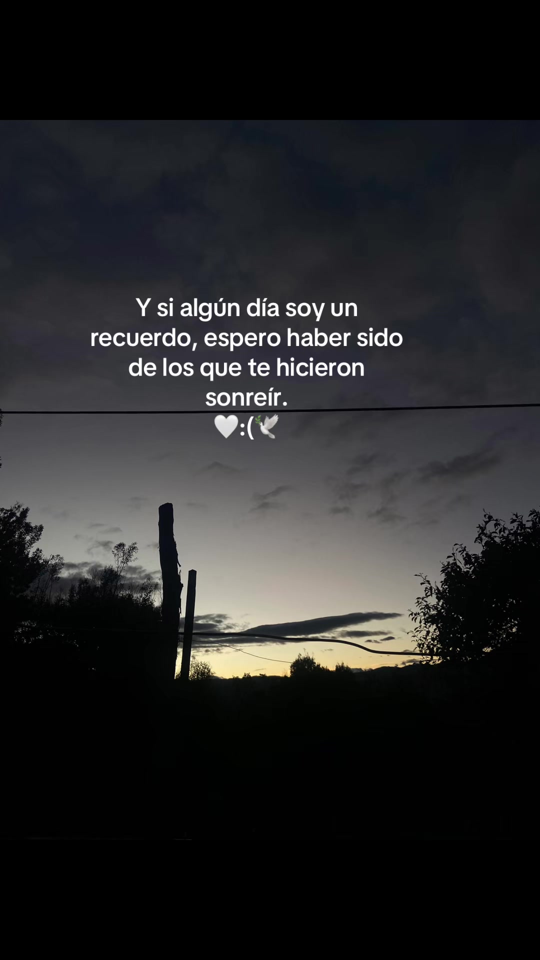 @Danesha 🫧