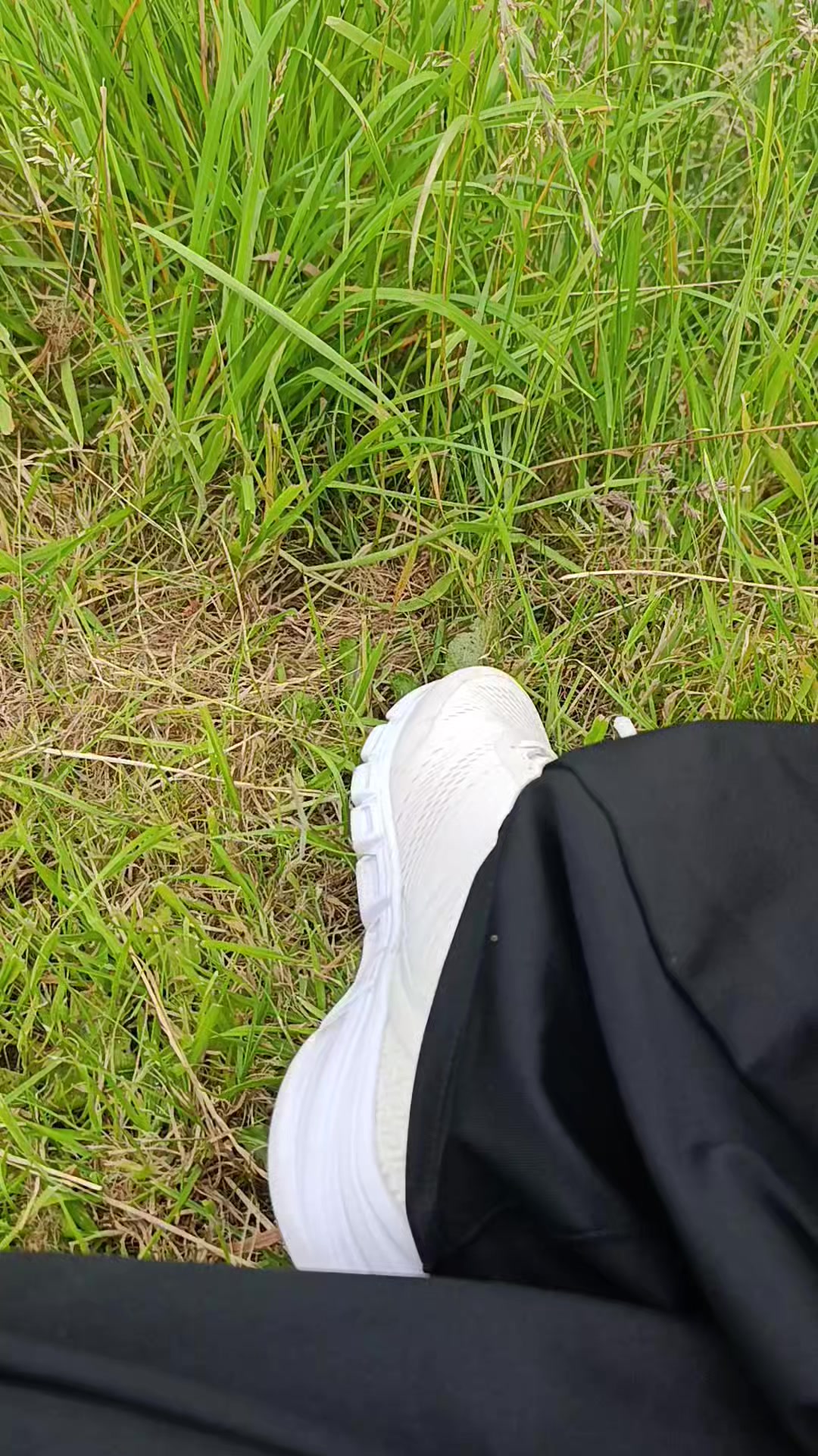@LoLo🌿