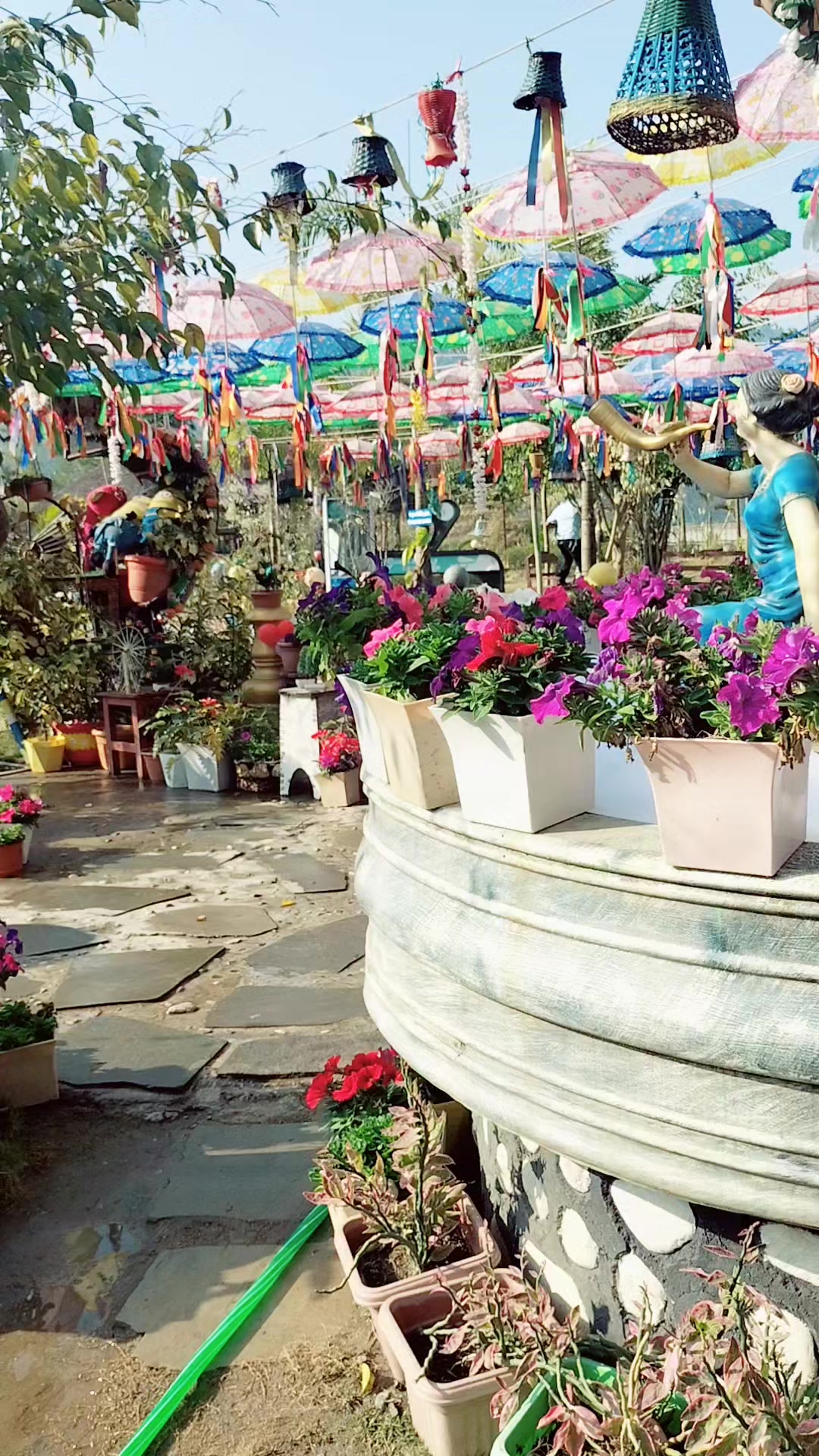 @पारू तिम्सिना