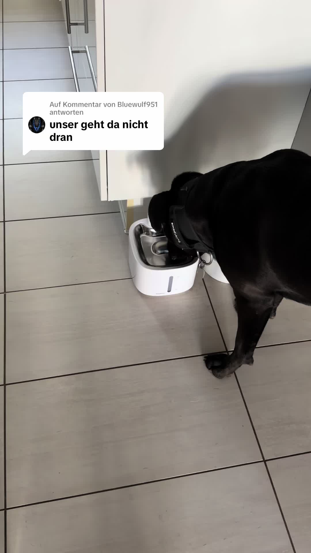 @Braunici