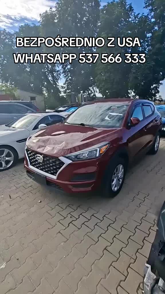 @Marcinzmotoleader