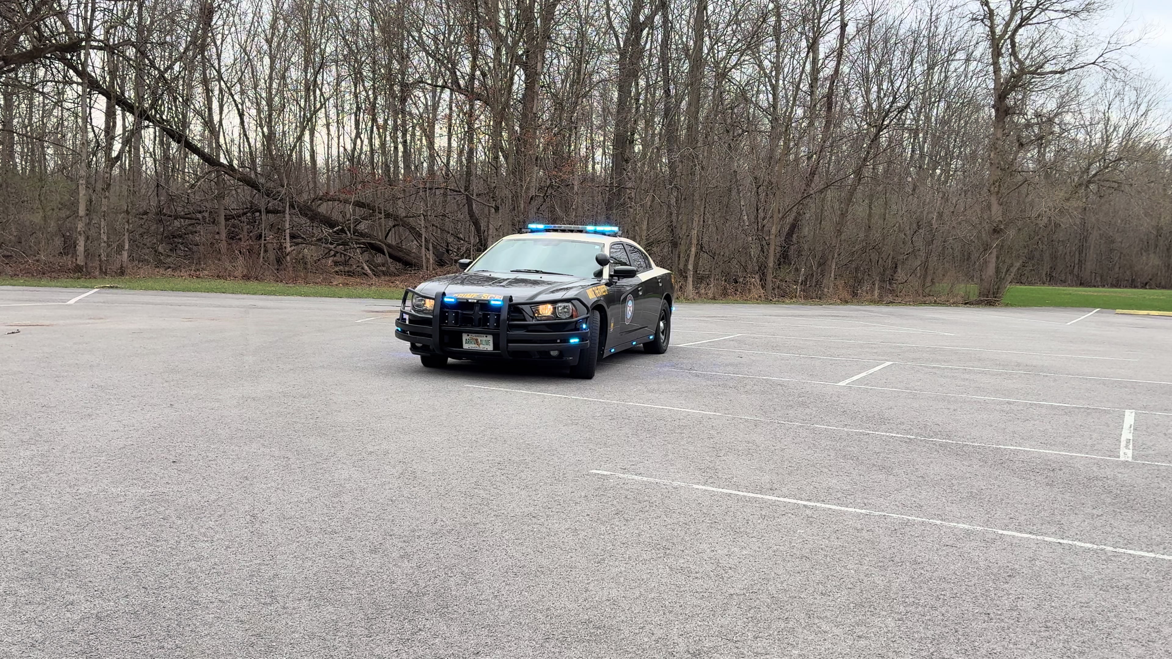 @Monster FHP