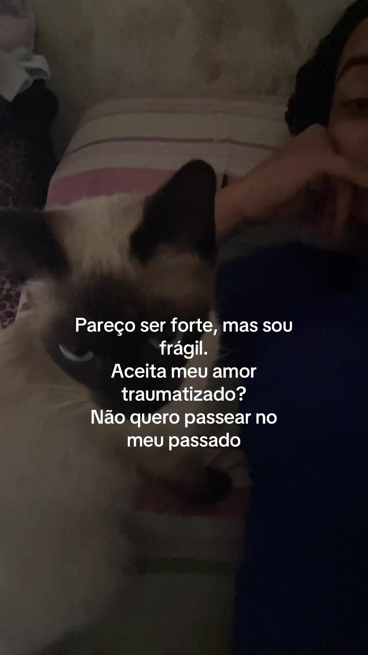 @cachinhos