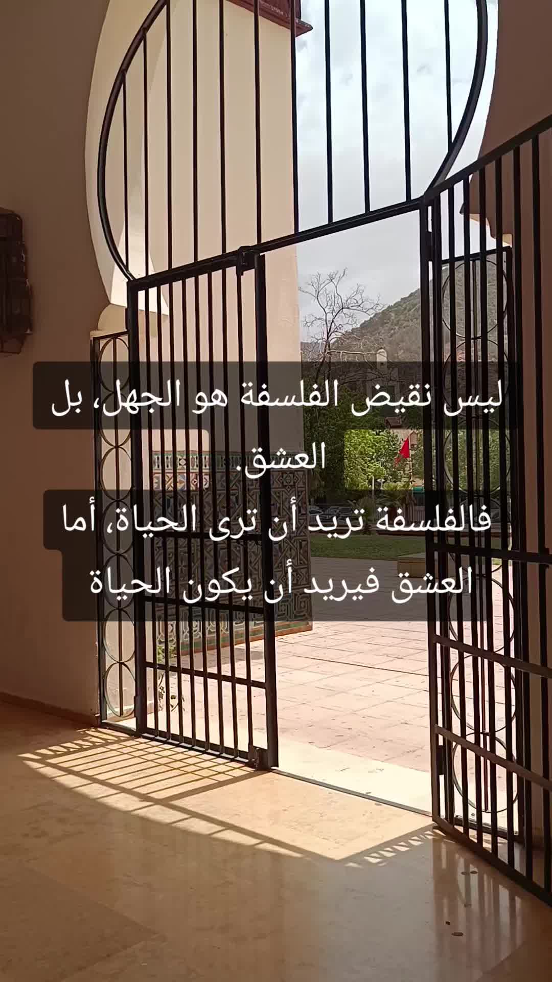 @IMMI