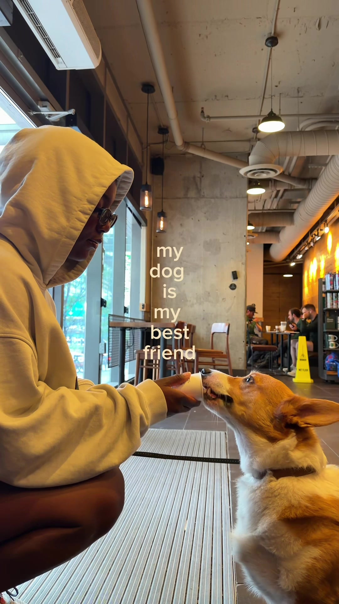 @mo