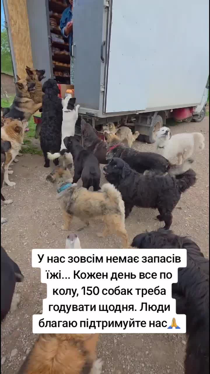 @tvarinkidobra