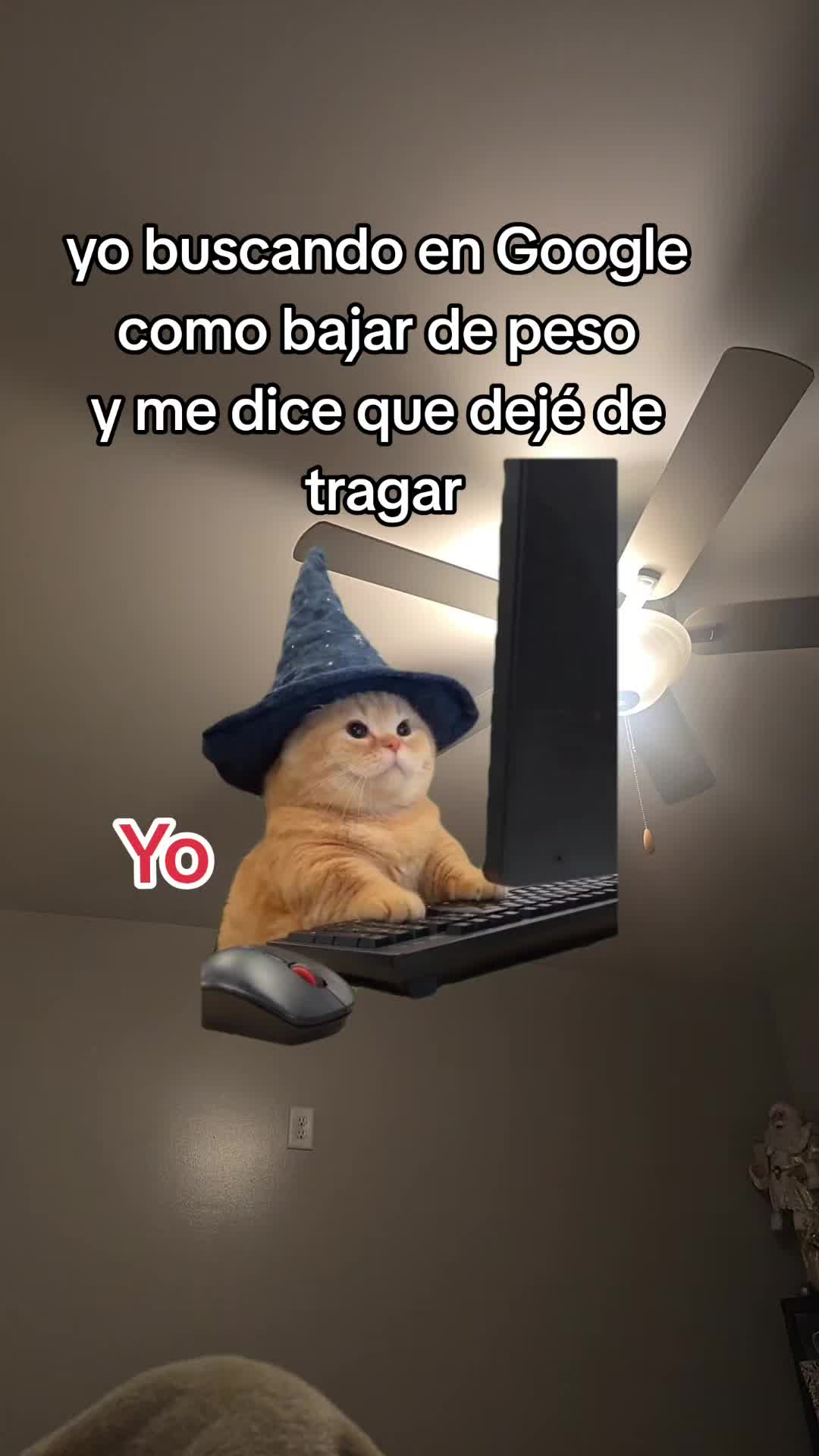 @🌙✨️🦦Yaneth 🐛🦋