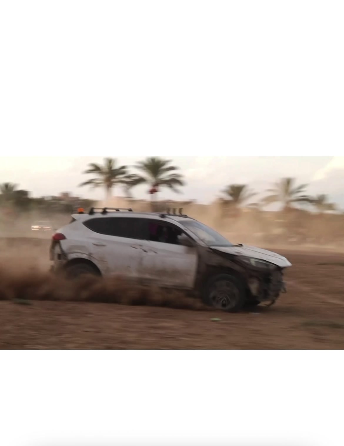 @شريف ابو مسعود