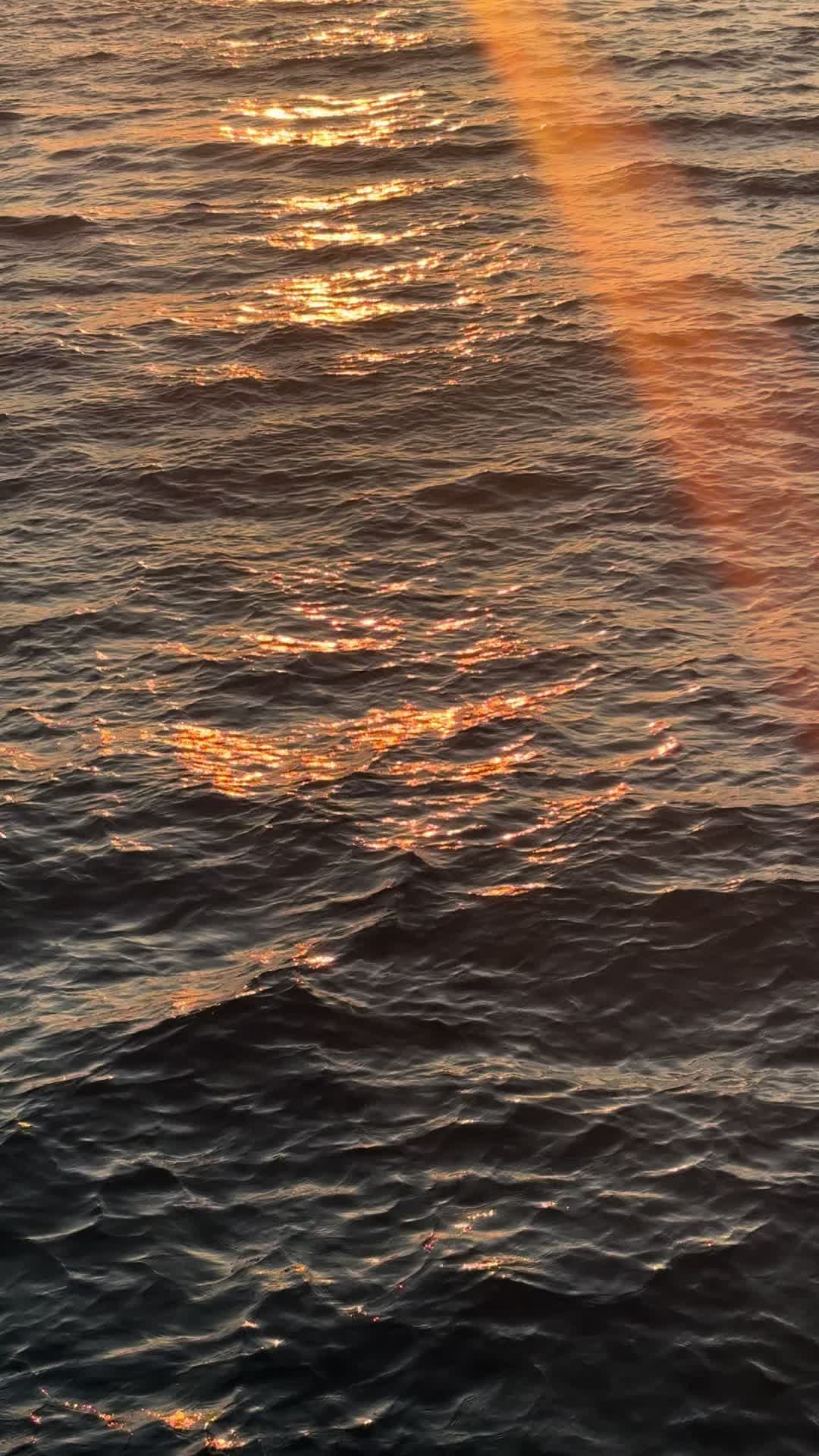 @falah.simoqy