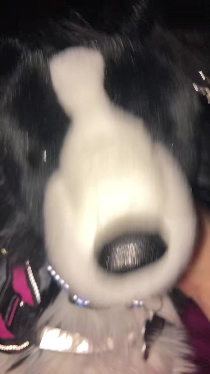 @🦑toast🐇