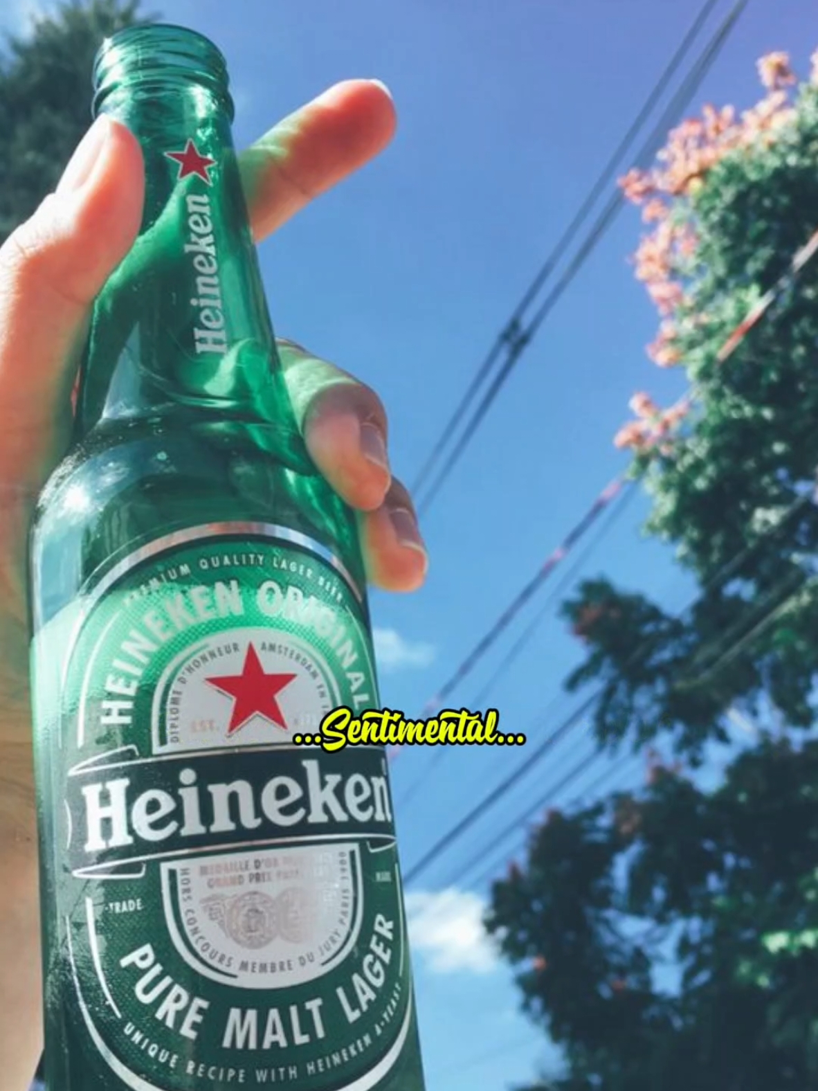 @musica para beber
