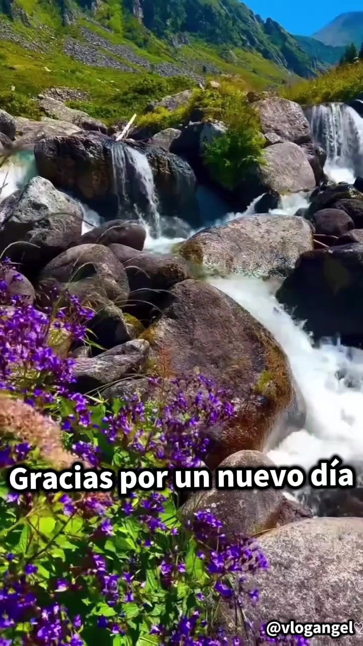 @Vlog Angel