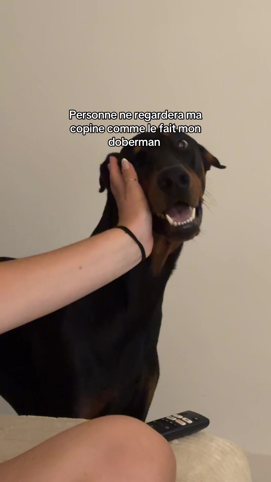 @Ar&egrave;s 🐶