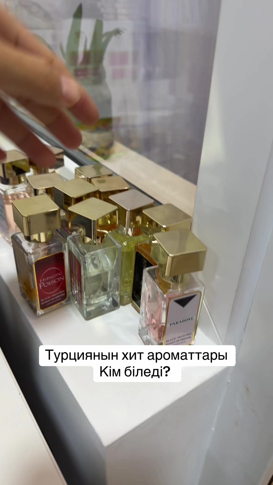 @Байер кыз| Айгерім