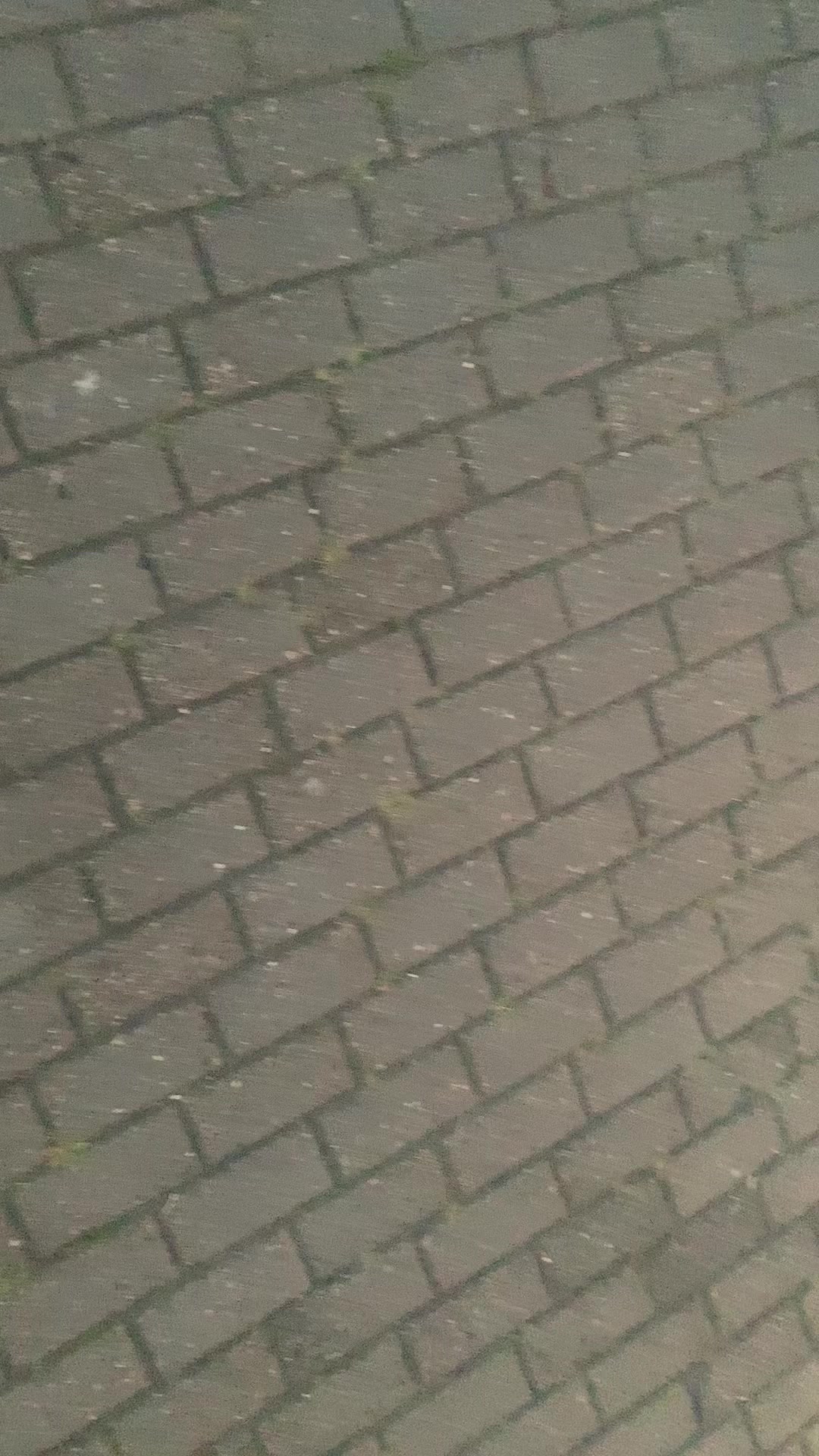 @re1ght