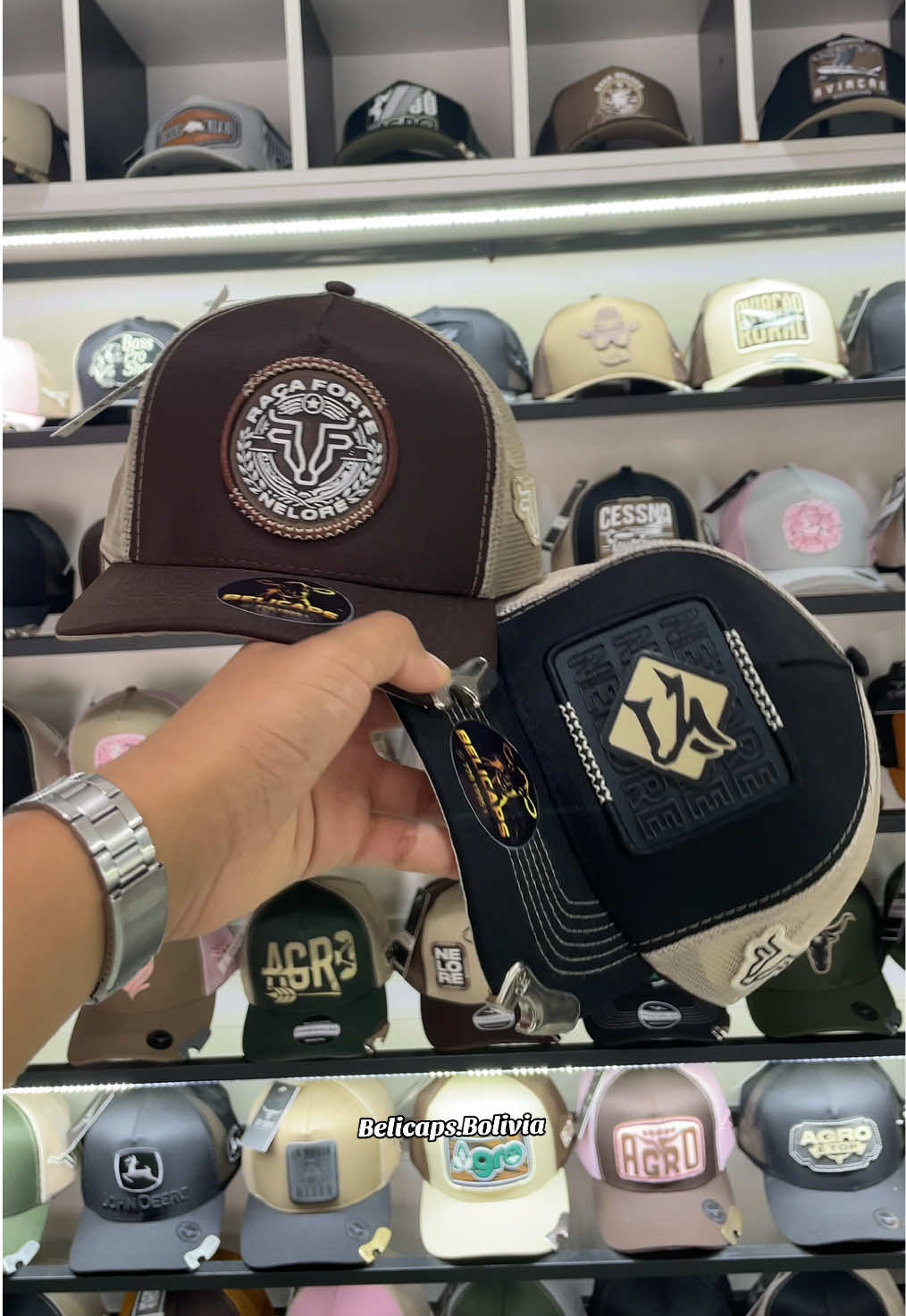 @BELICAPS🧿🧢