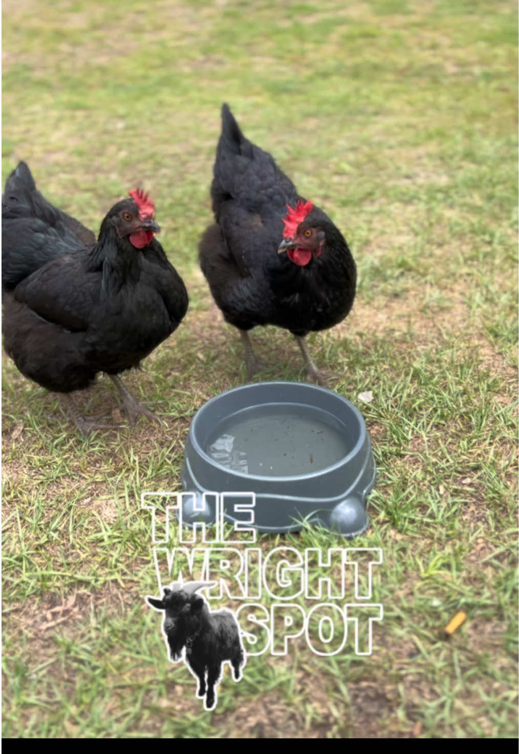 @The WRIGHT Spot ๐ ๐จ๐พ๐พ ๐