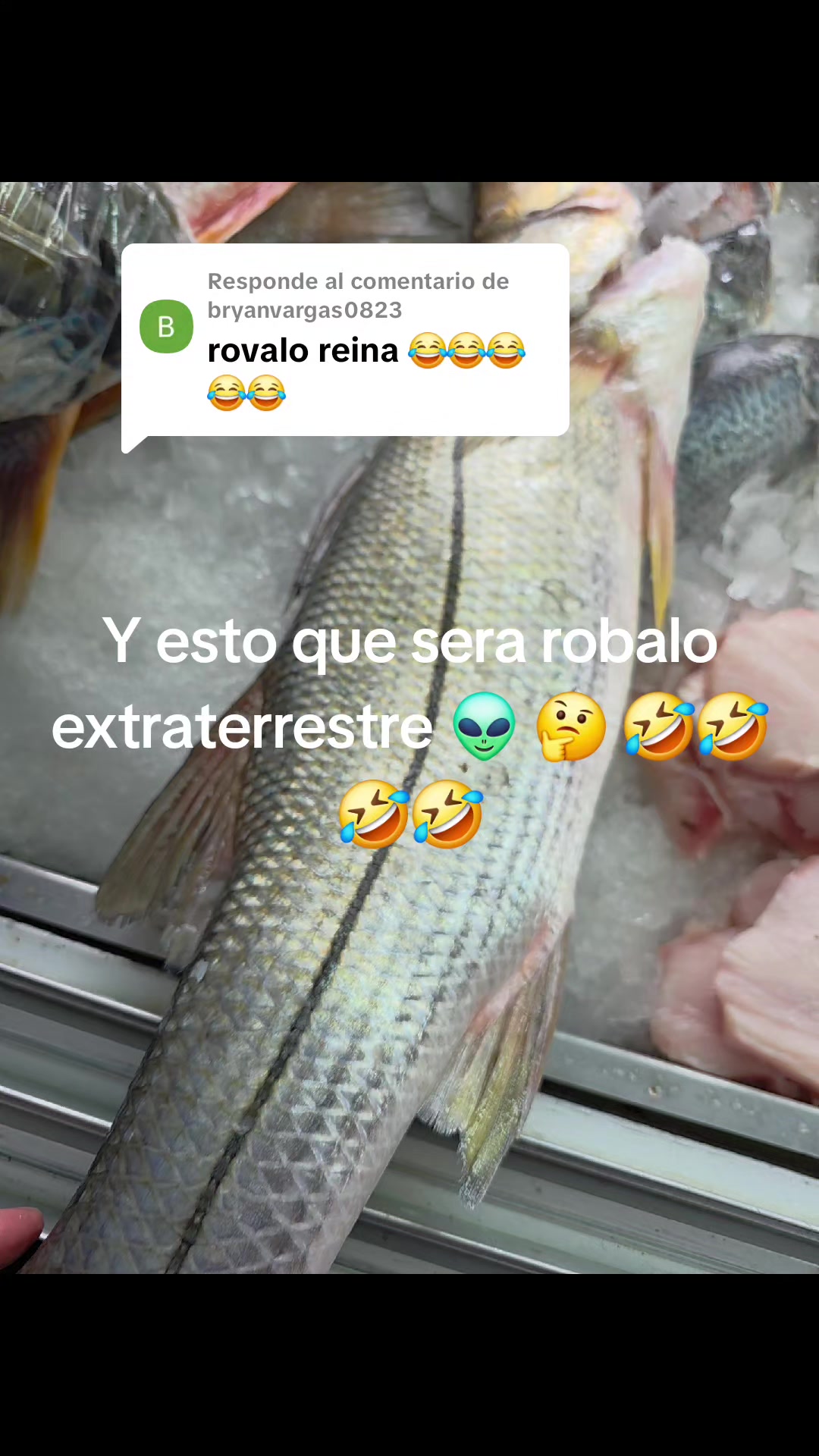 @Fish Store