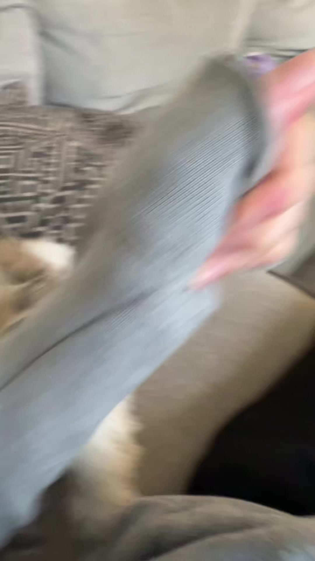 @🦄✨