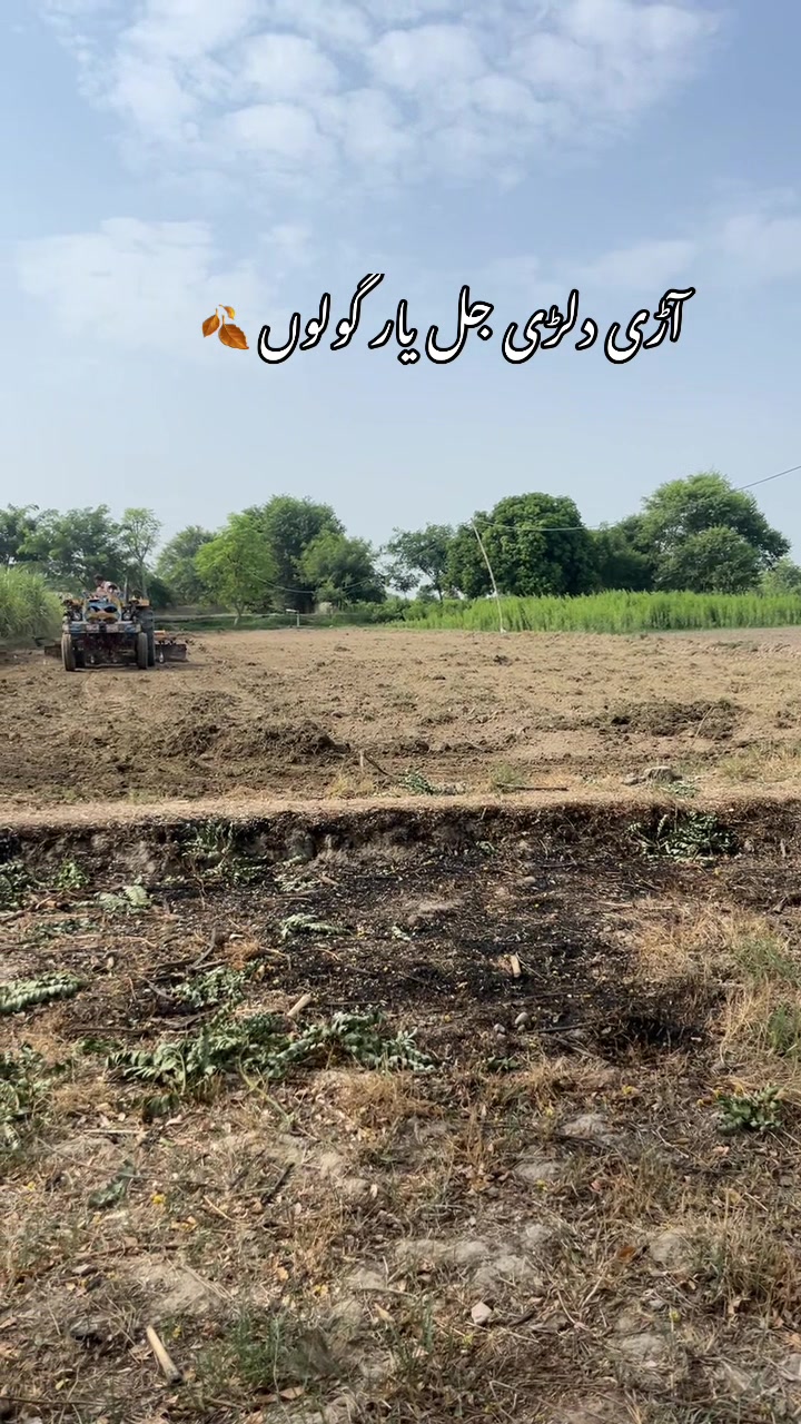 @گودا سائیں❤️