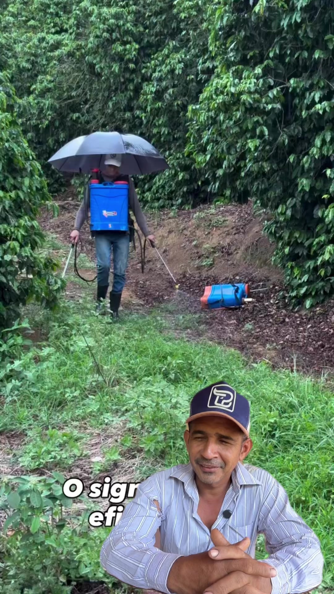 @Canal Vida na Ro&ccedil;a
