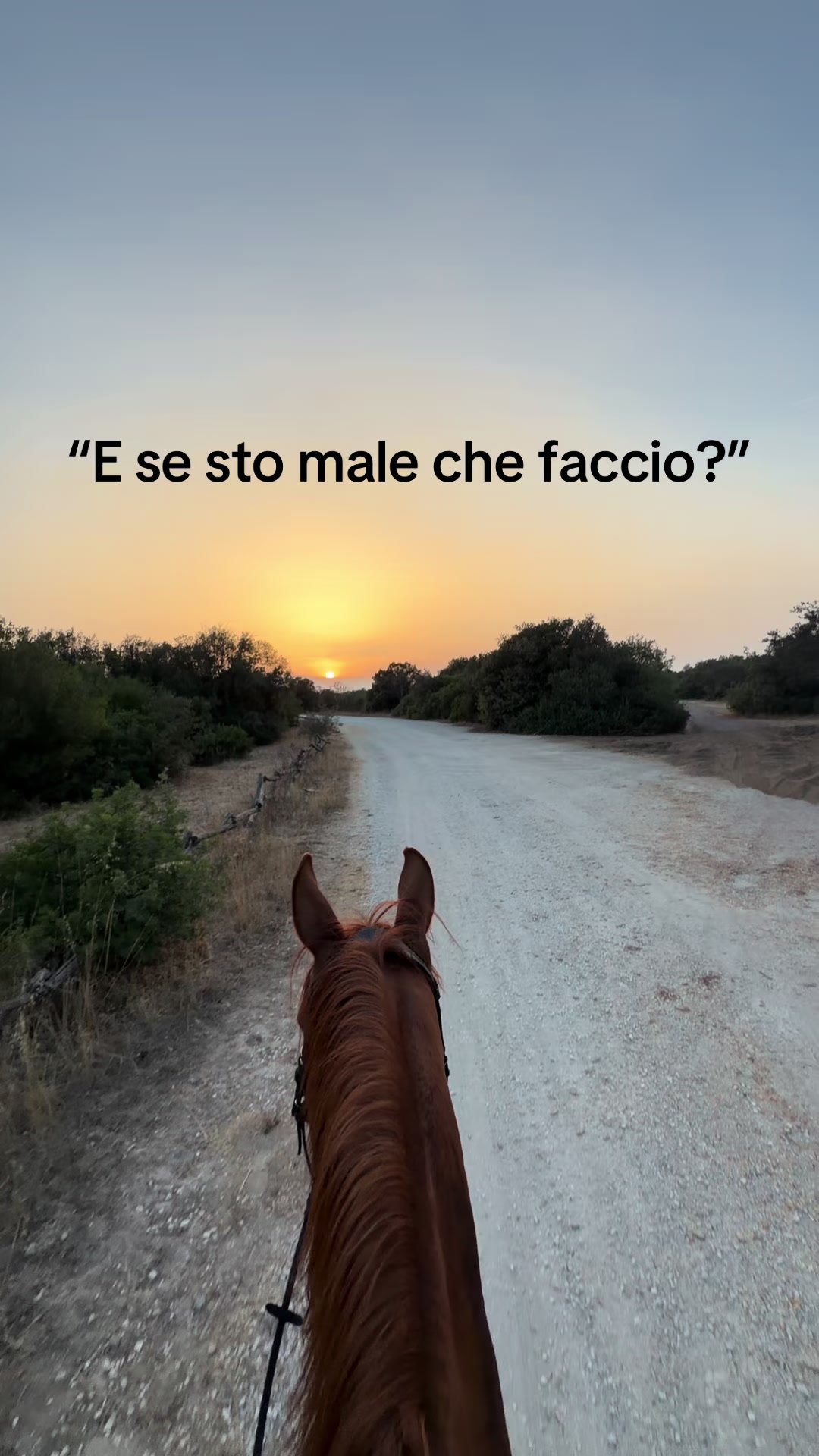 @Saraa