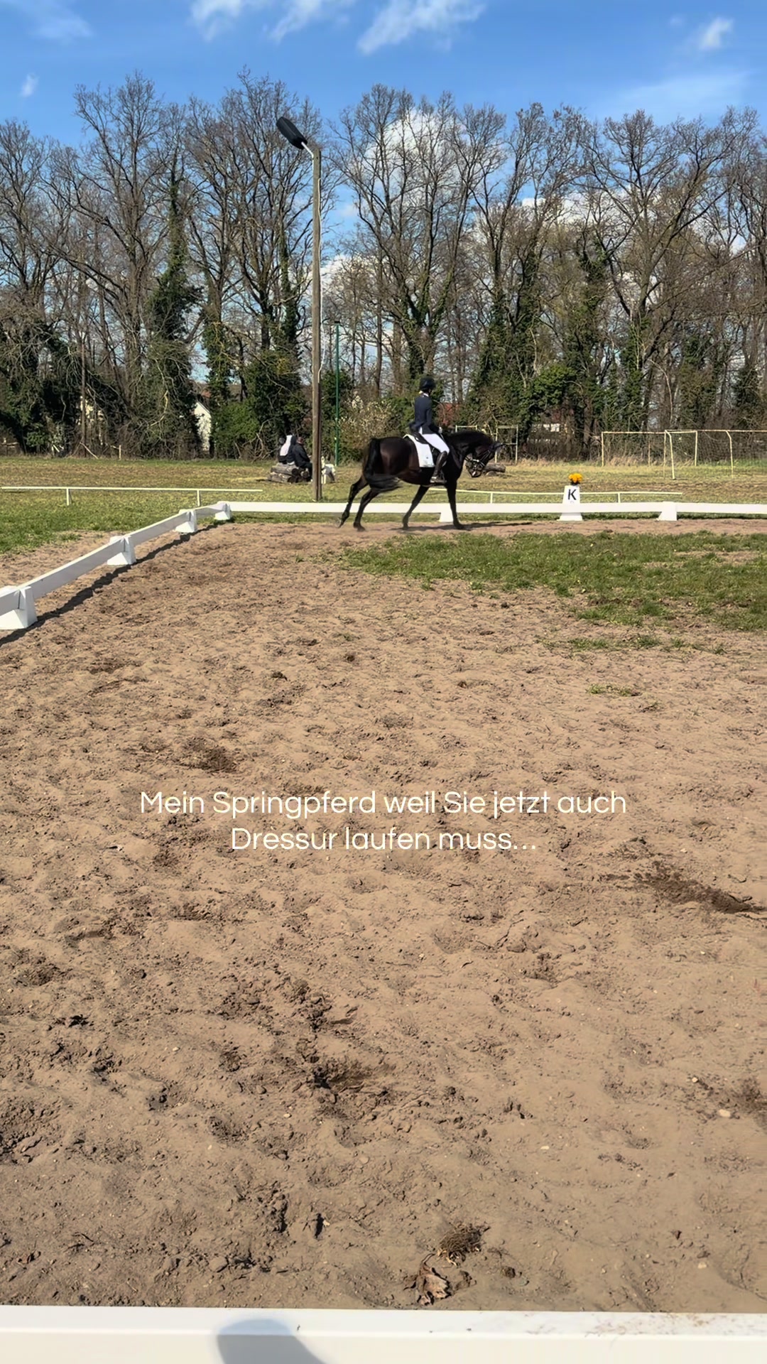 @_leonie_equestrian_