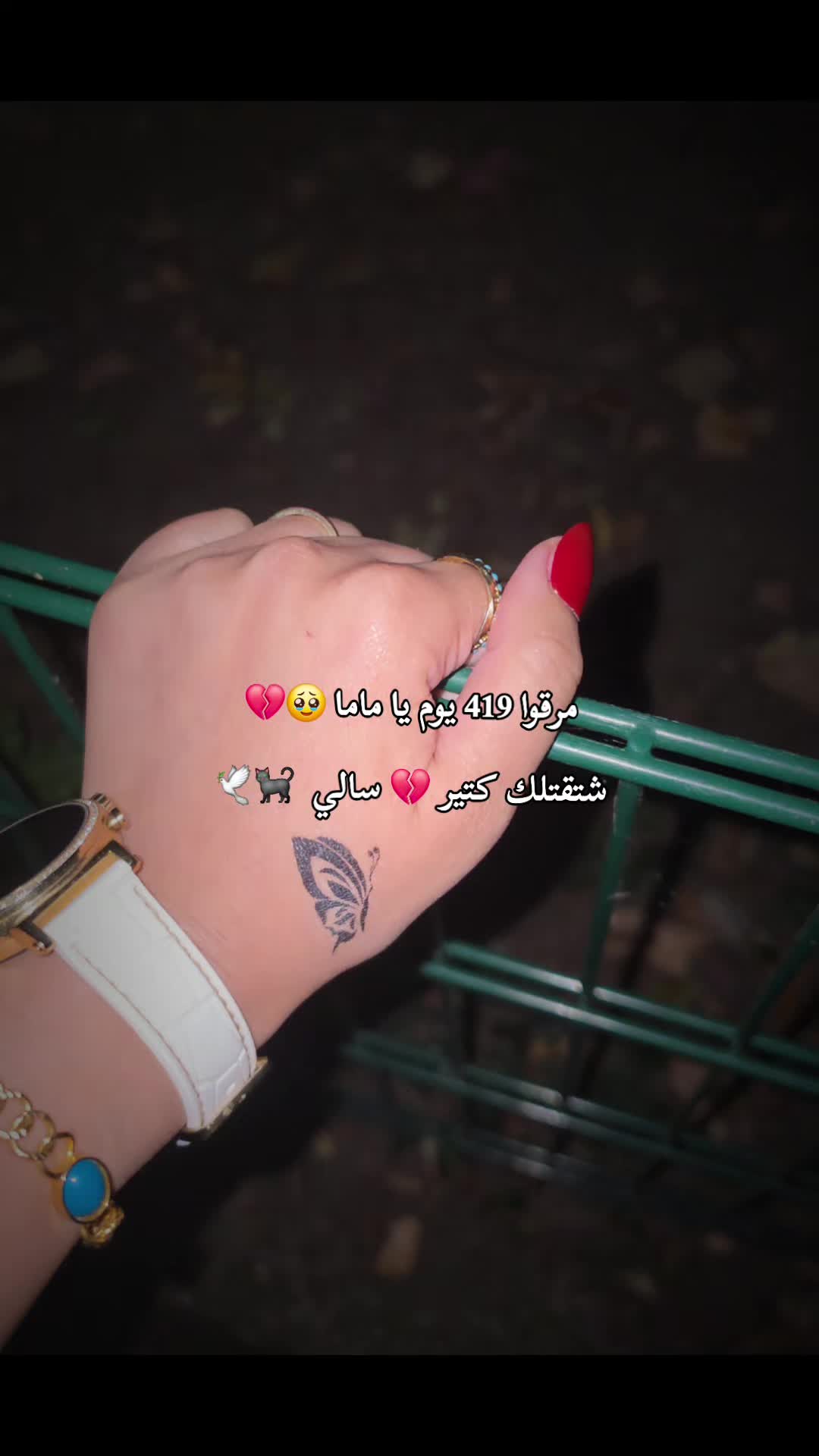 @🦋𝓗𝓪𝓫𝓸𝓼𝓱🦋