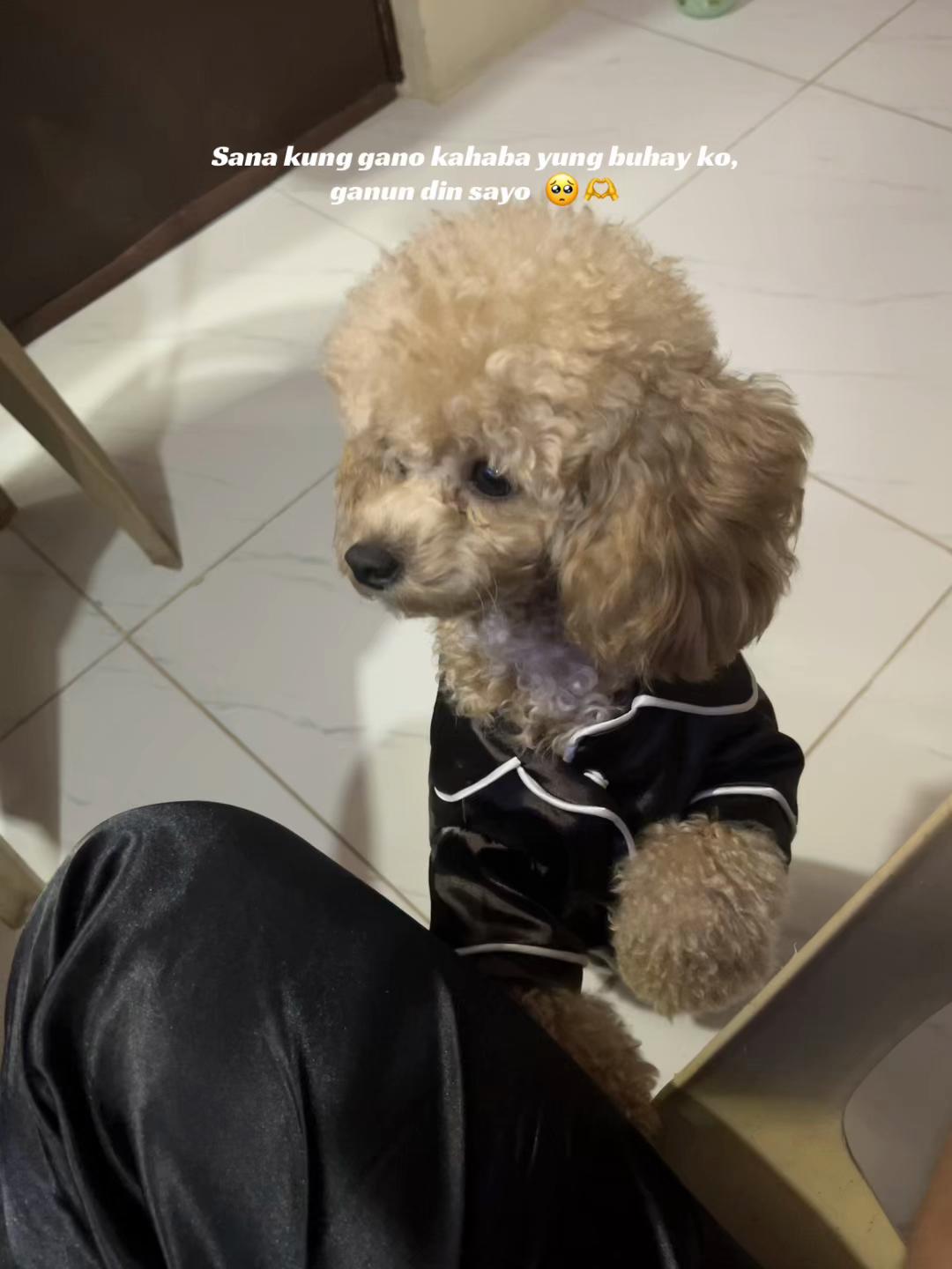 @mitchcangayo