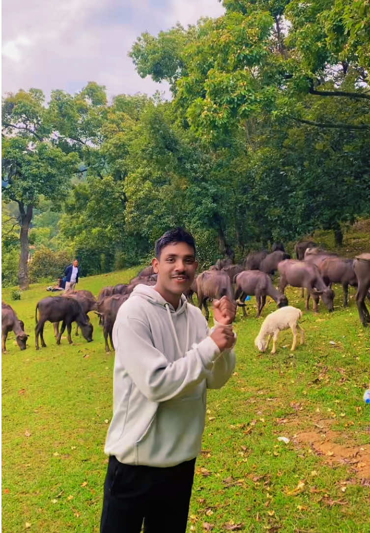 @Ashok nepali vlogs