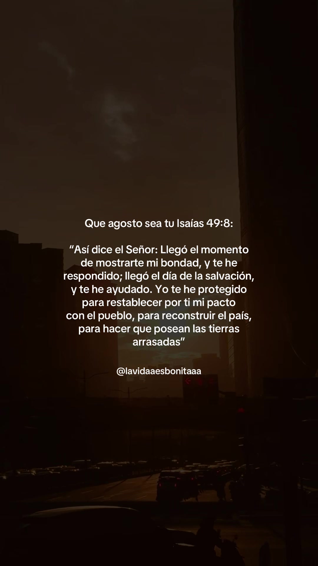@vidabonita❤️🩹