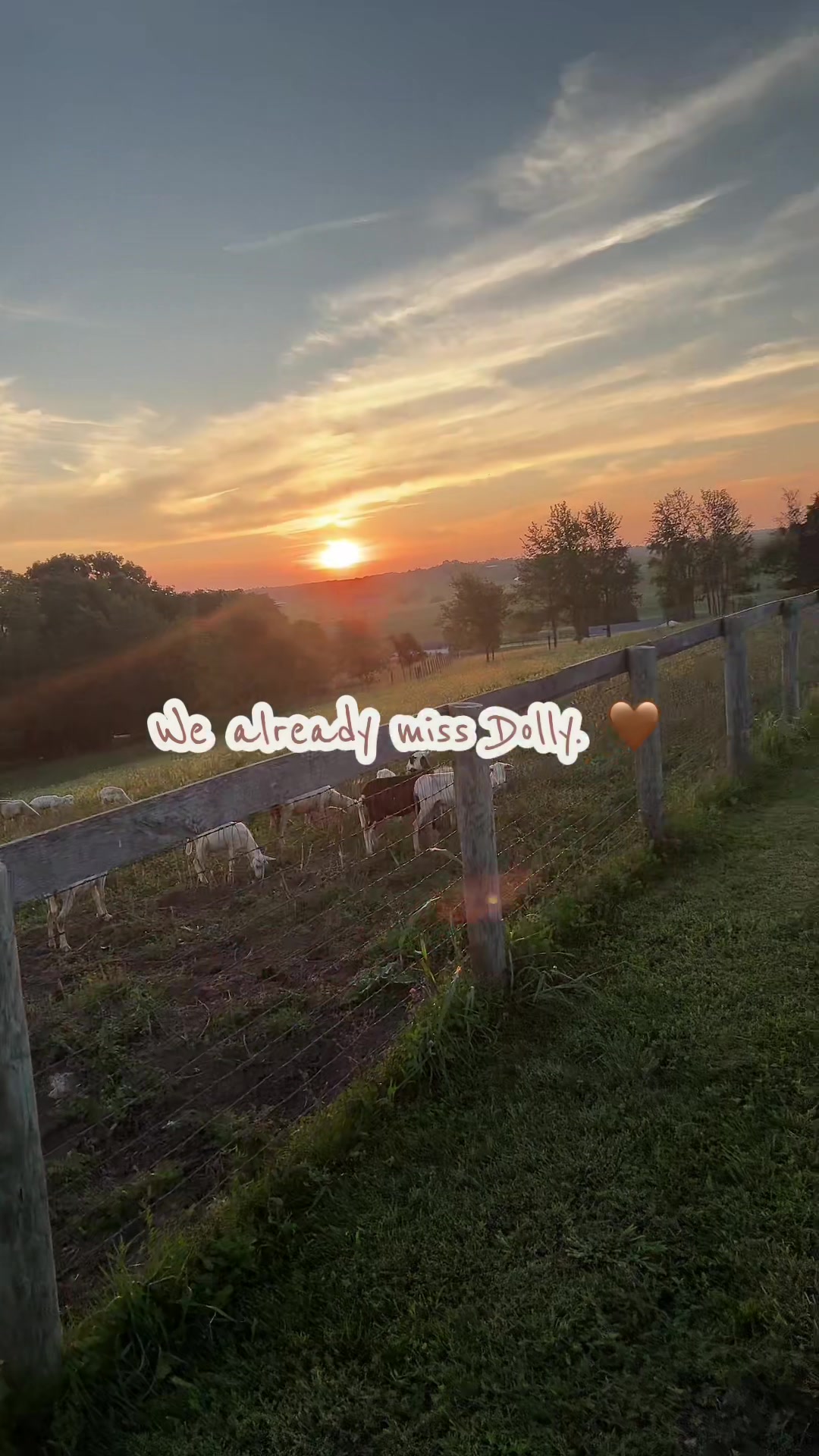 @Deanna 🧺👩🏻&zwj;🌾 &bull;Farmstander&bull;