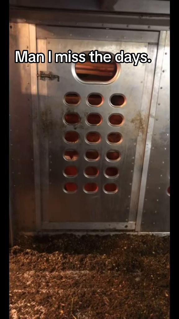 @PUH-PARAZZI