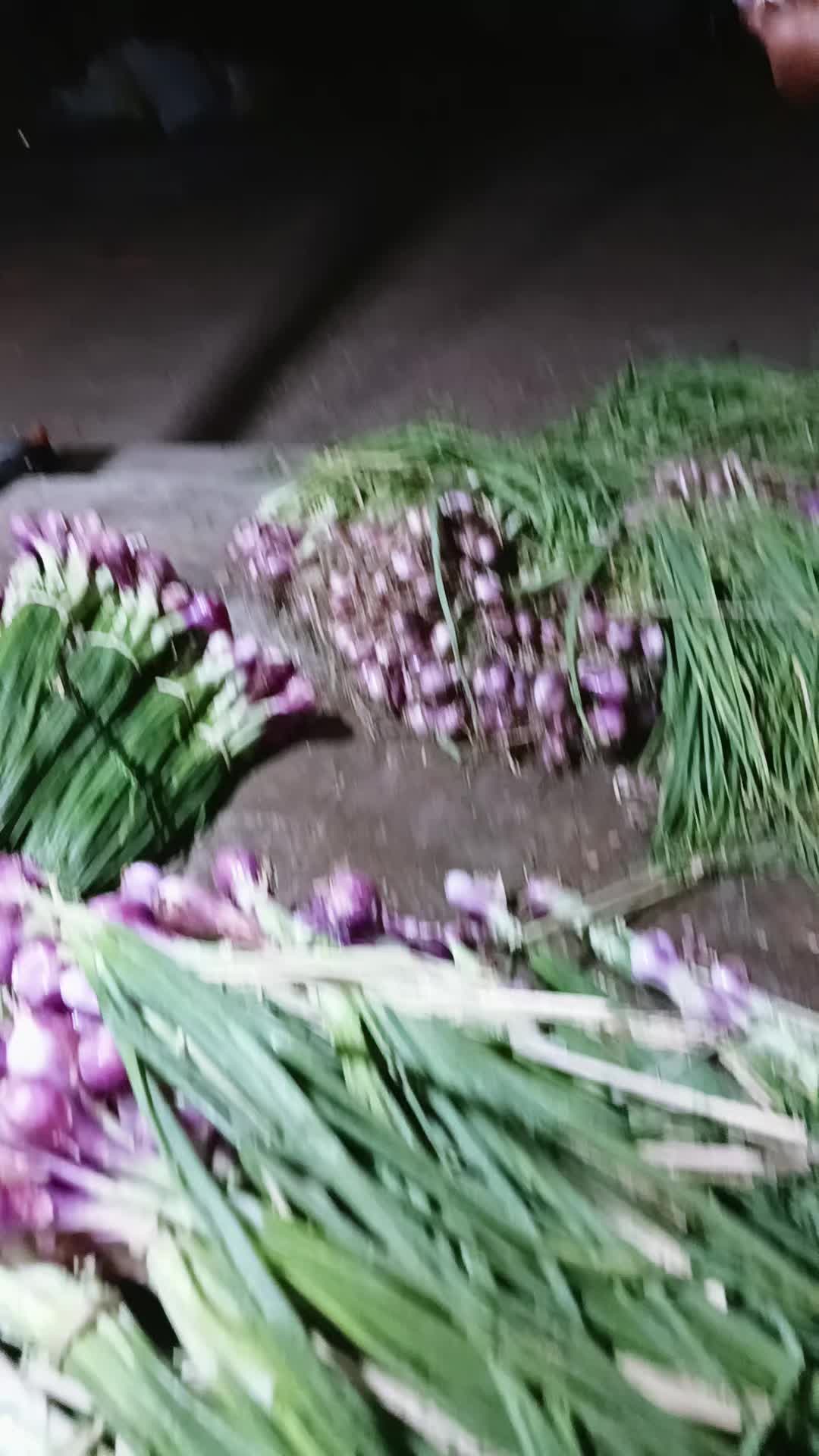 @juhairiyahjuhairi20