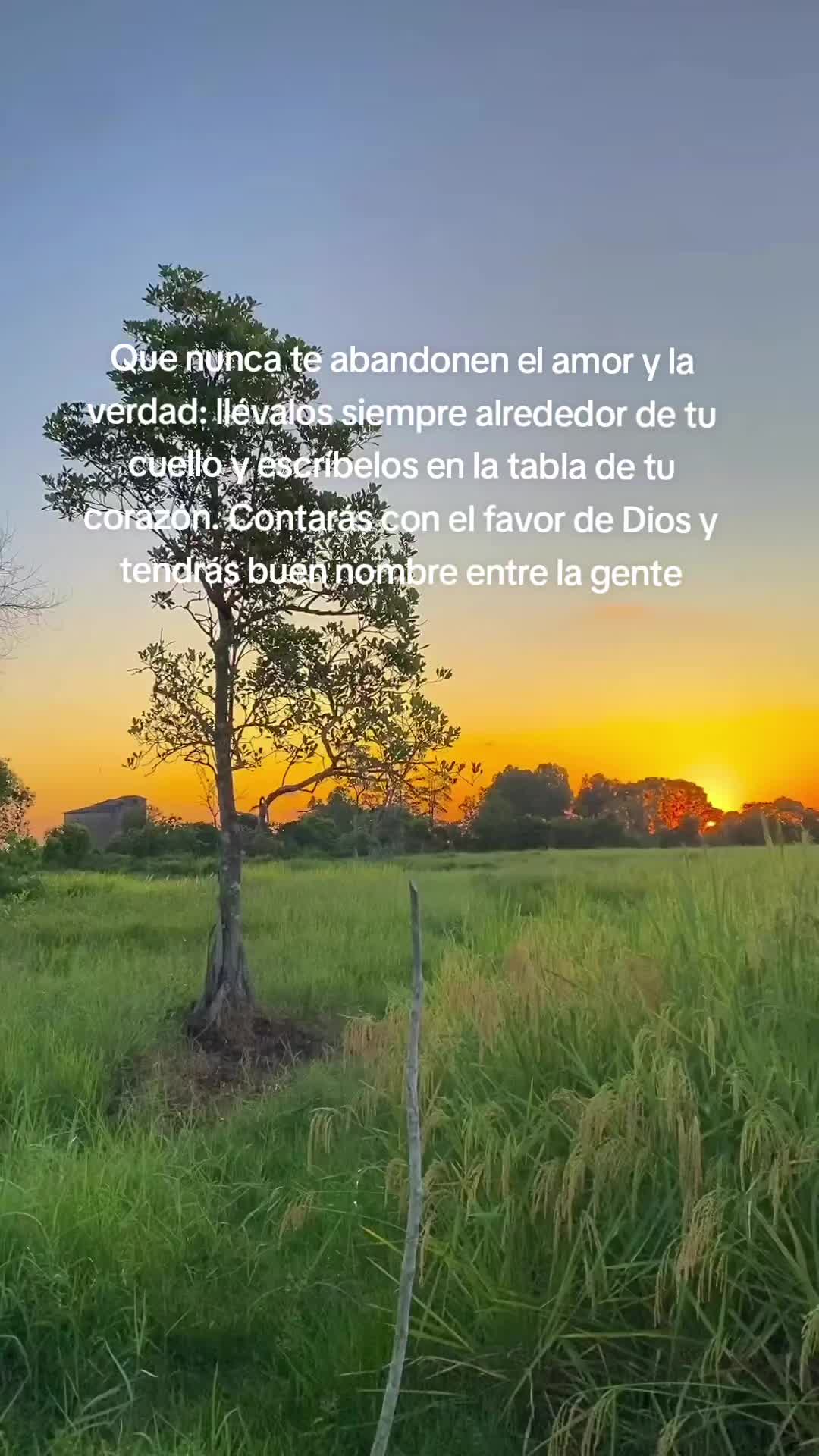 @Elfego Lopez