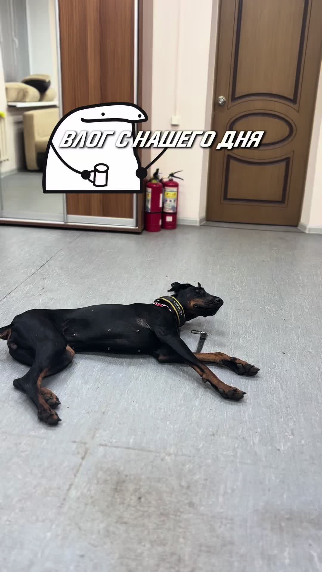 @‼️тг: grandorf‼️