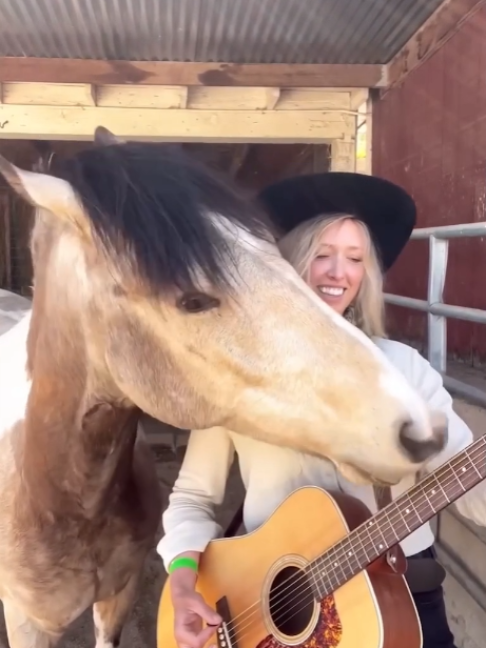 @Horses TikTok