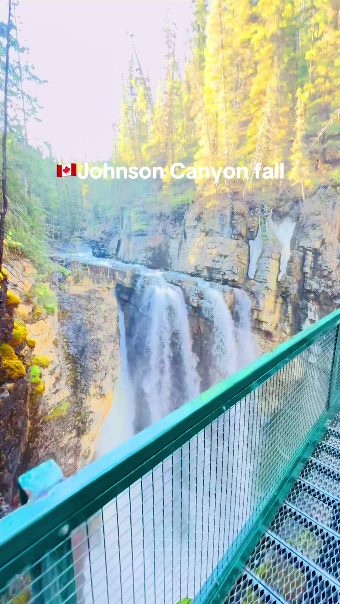 @Canada View🇨🇦