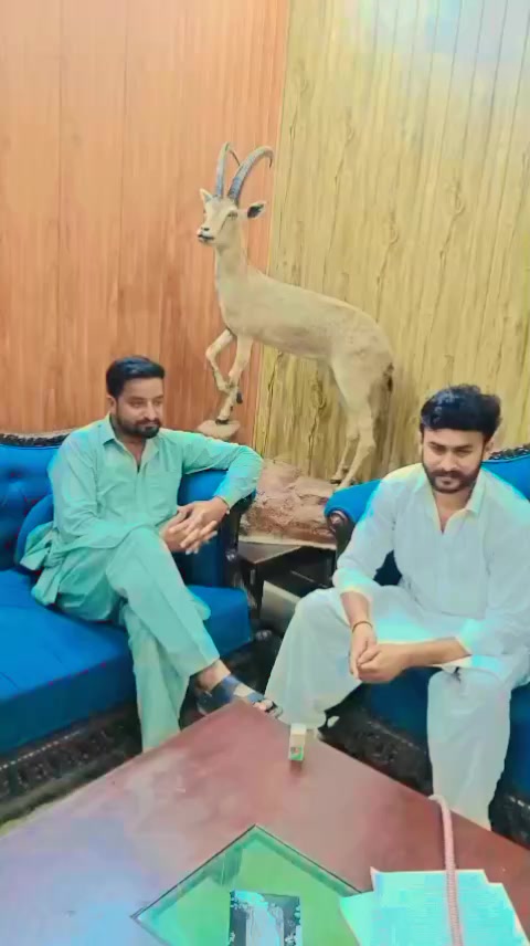 @راجہ شاہ رخ ایم ایس ایف