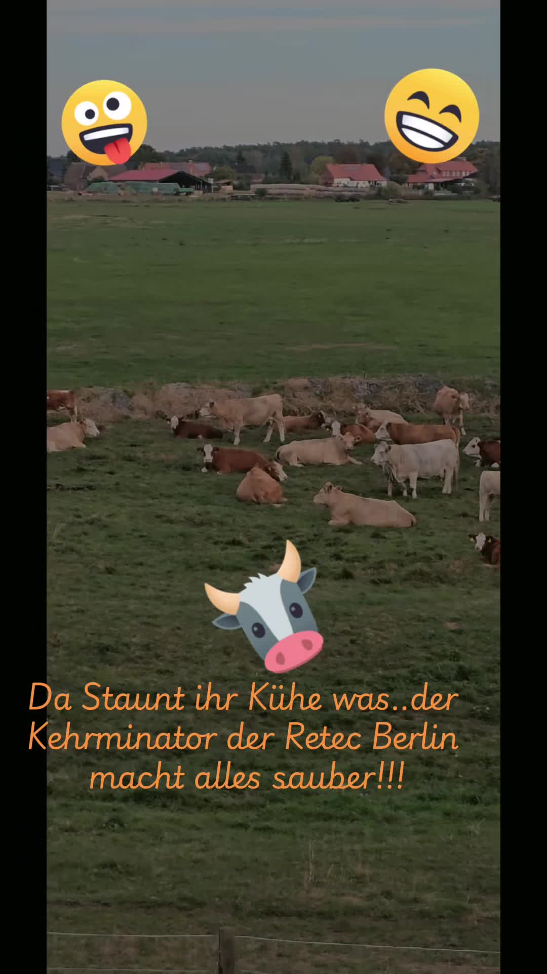 @KayBerlin 🦅Kehrminator⚔️💞SAO