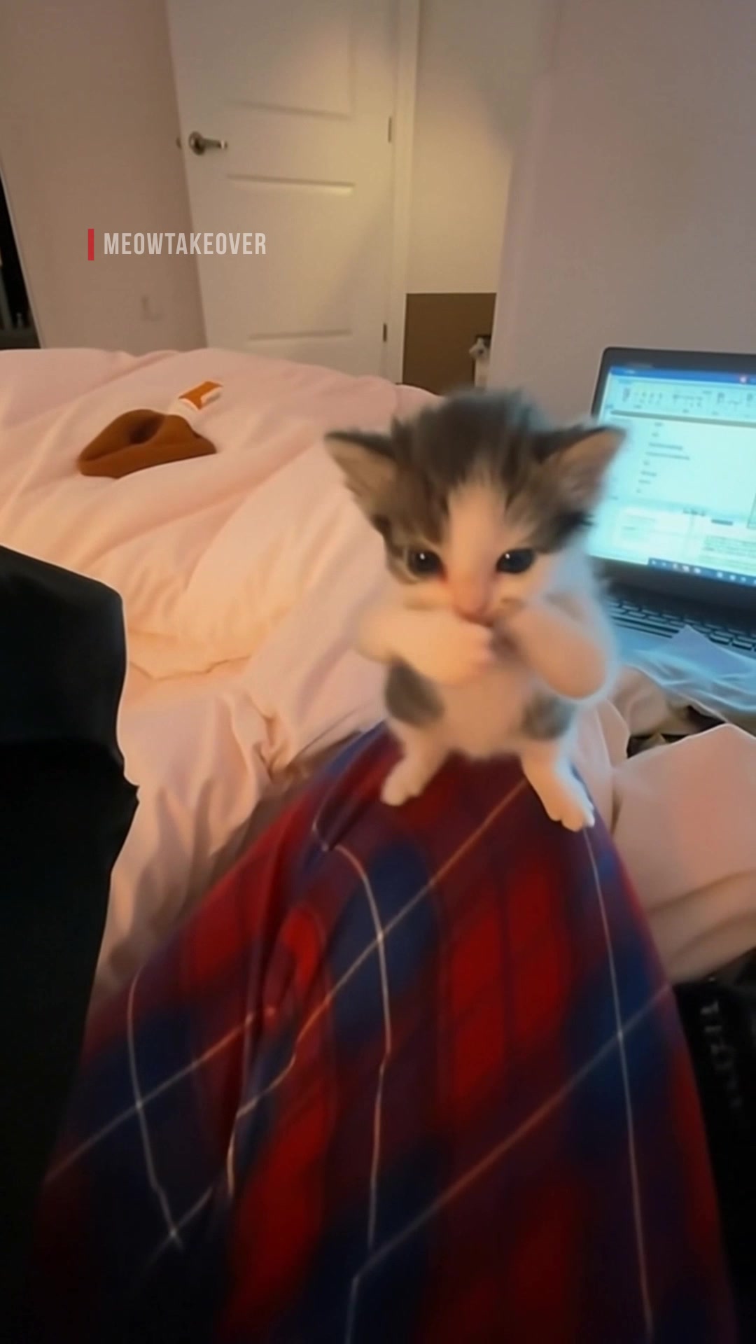 @meowtakeover
