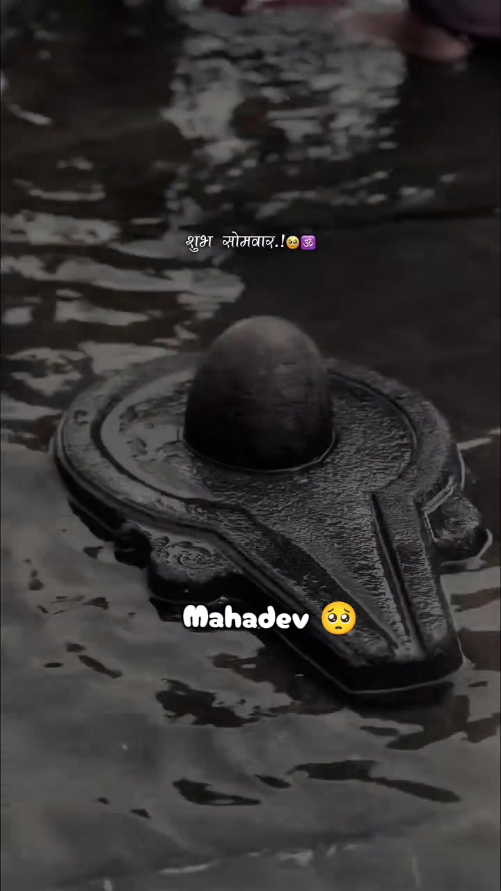 @🕉☘️Sujata❤🌻🦚