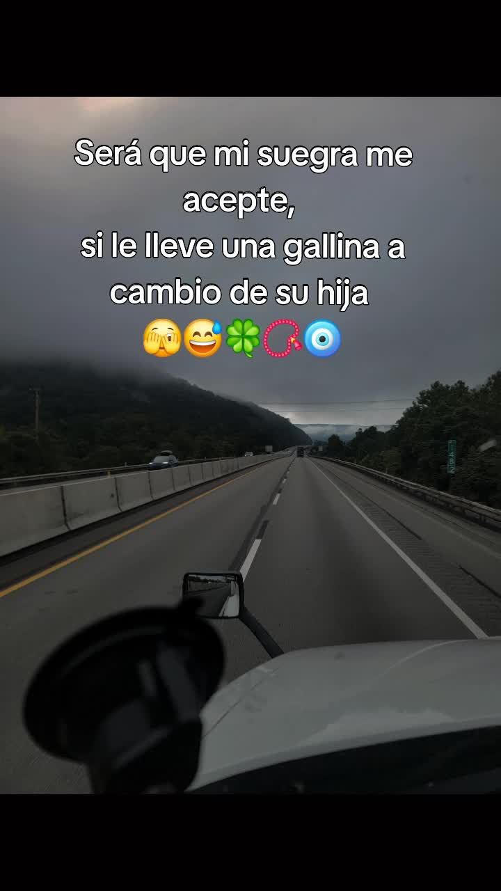 @Salvi503
