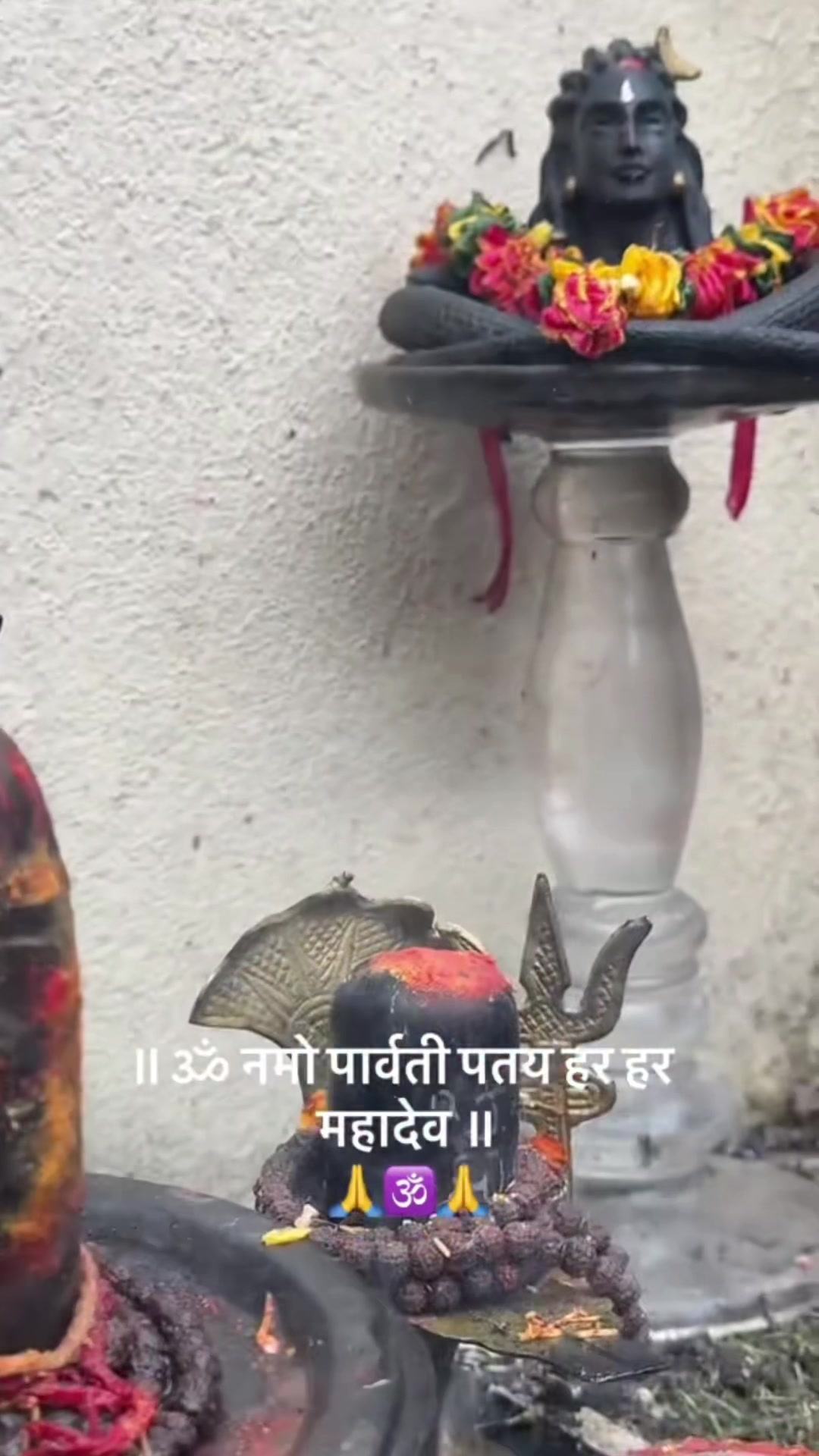 @ਵਲੈਤੀ ਪੰਜਾਬਣ sukh/ਸੁਖ
