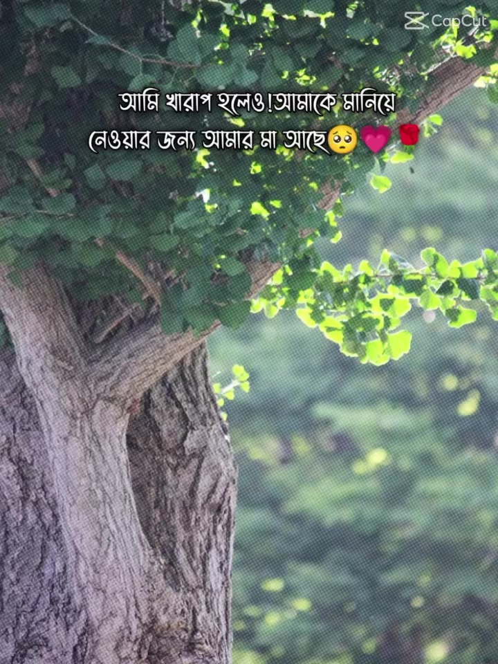 @❝།།♡ ফরিদপুর জেলার ছেলে💝💖💝
