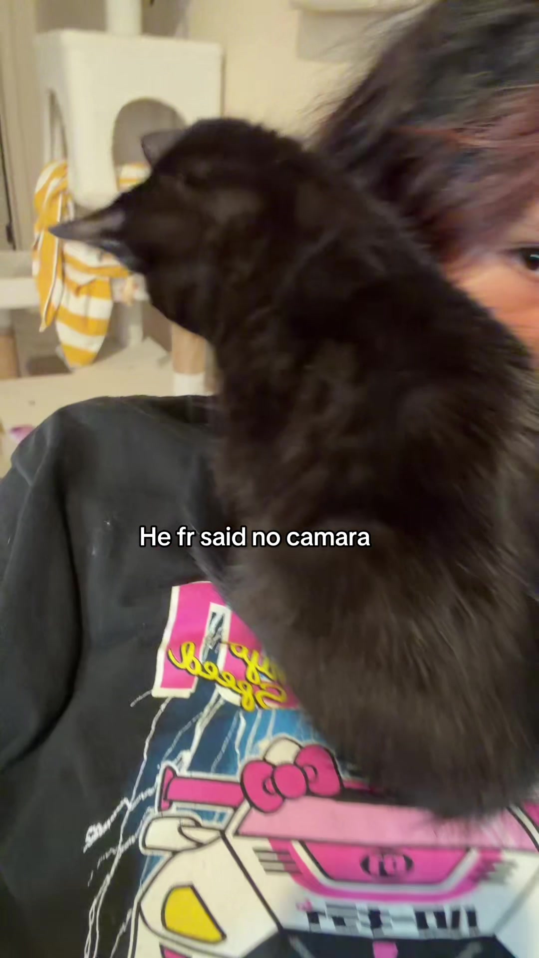 @fresitaly12